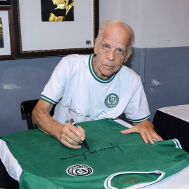 Pré-venda Camisa Palmeiras 1973 - Verde - Autografada com dedicatória do Ademir da Guia + Vídeo Mensagem